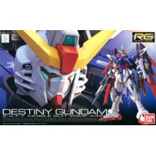 ZGMF-X42S Destiny Gundam (RG) 